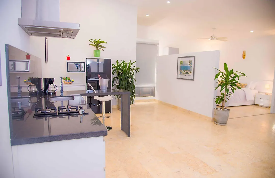 El Cactus Luxury Apartments In Historic Center-1