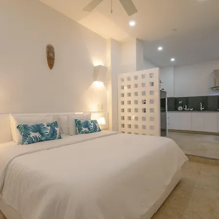 El Cactus Luxury Apartments In Historic Center-3